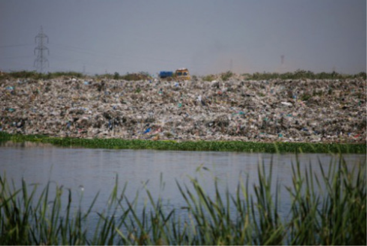 Pallikaranai Marsh Land