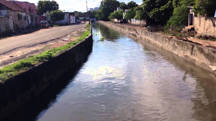 Buckle Canal