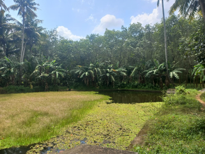 Paduthalakulam